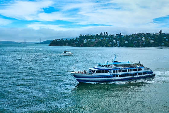 Tour Boats Sailing Along Scenic Coastline Under Blue Sky